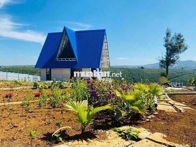 Tôi Chính Chủ Bán 5 lô đất. Xã lộc ngãi. Bảo Lộc