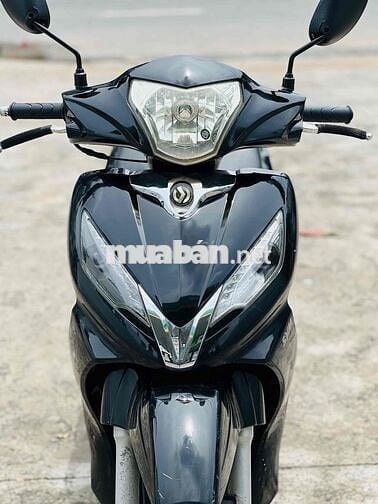 SYM shark biển 71