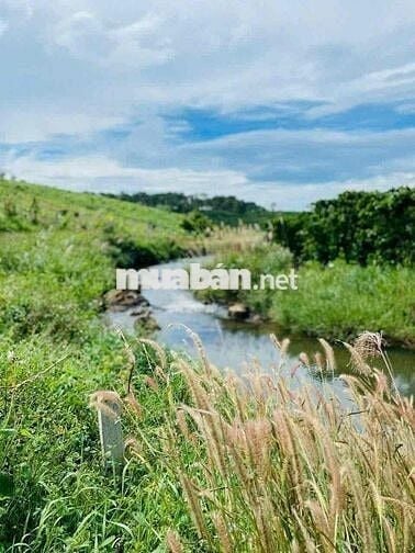 Ngộp nặng cần bán lỗ gấp lô 888m2 giá 339tr view suối cực đẹp