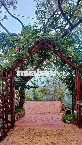 🌿 CHO THUÊ NHÀ NGUYÊN CĂN VIEW ĐỒI QUẠT GIÓ – CẦU ĐẤT, ĐÀ LẠT 🌿