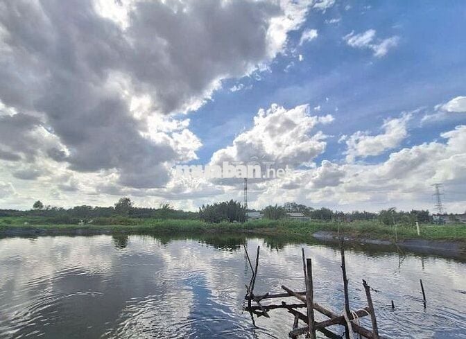 LÔ ĐẤT LÚA NGAY HẺM 1697 LÊ VĂN LƯƠNG NHƠN ĐỨC NHÀ BÈ.