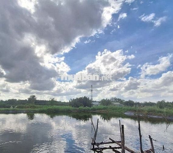 LÔ ĐẤT LÚA NGAY HẺM 1697 LÊ VĂN LƯƠNG NHƠN ĐỨC NHÀ BÈ.