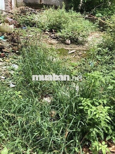 45M2 ĐẤT ĐẸP THÚY LĨNH, HOÀNG MAI, NGÕ THÊNH THANG, GẦN Ô TÔ, HƠN 5 TỶ