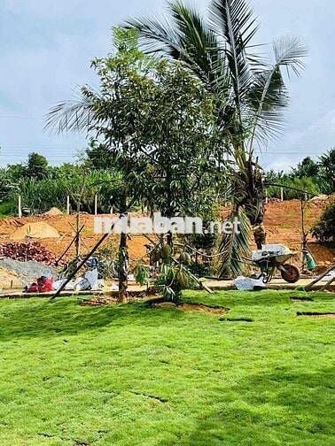 BÁN LÔ ĐẤT MẶT TIỀN TRẦN ĐẠI NGHĨA, PHƯỜNG LÂM VIÊN - ĐÀ LẠT