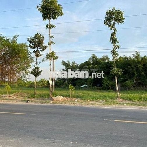 EM CHÍNH CHỦ CẦN BÁN ĐẤT MẶT TIỀN KHU CÂY XOÀI GẦN TUYẾN TRÁNH CHỢ T3