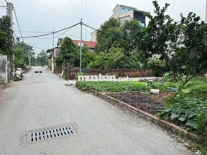 Bán đất thổ cư 86m², hướng Đông Nam, trung tâm Chi Đông, Mê Linh, Hà