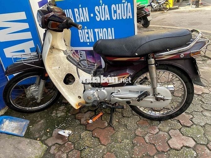 Dream việt 2003
