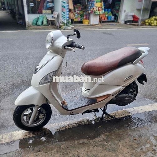 Atila alyzabet Fi tiếc kiệm xăng biển 64 máy êm ru