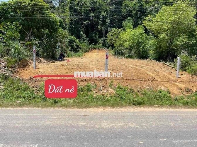 Bán đất thổ cư mặt đường Yangbay