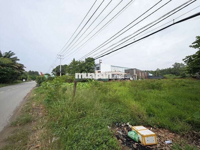 ĐẤT NGANG 20M DÀI 50M - CÓ 160M2 THỔ CƯ