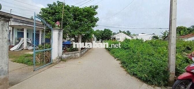 Đất full thổ 136m2 phường 9, hẻm xe hơi, trục thẳng khu dân cư