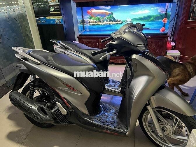 Bán Sh125 màu trắng 2022