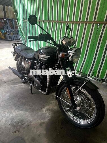 Triumph T100 2012