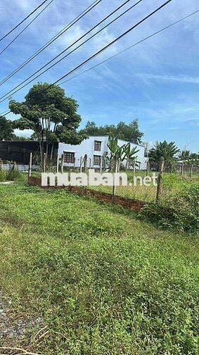 ĐẤT MẶT TIỀN ĐƯỜNG 377 - 915m2 15x61M ĐÃ CÓ THỔ CƯ