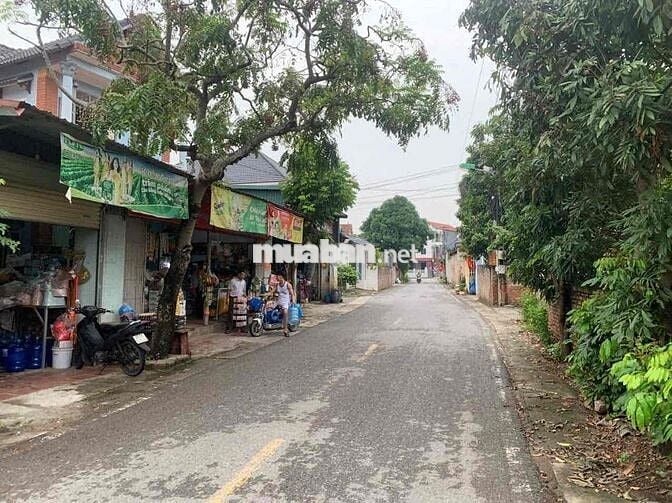 Bán Đất – Xã Minh Phú (Sóc Sơn) – 85M2 – 1,7 TỶ – Full Thổ Cư – Ô TÔ 7
