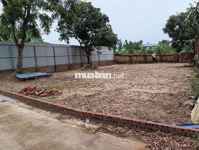 Bán Đất - Thái Lai(Minh Trí) - 358M2  - 2,4Tỷ - Đường thông Ô Tô