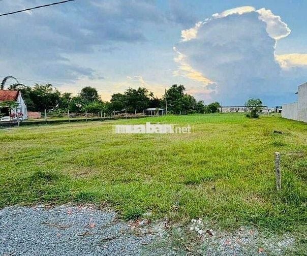 Anh nông dân bán đất Gò công full thổ cư 125m2 MT QL 50