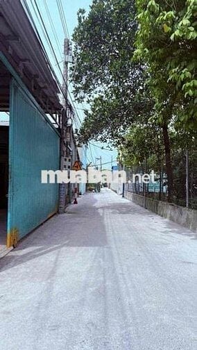 BÁN ĐÂT (7,7 x 15) BÌNH NHÂM ĐƯỜNG OTO