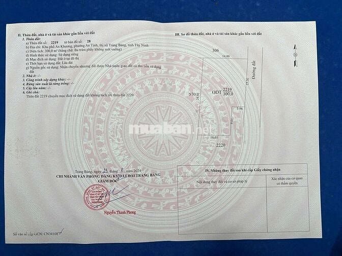 Đất Thổ cư, cạnh KCN Trảng Bàng, 14x21= 300m2, SHR, Giá 450tr
