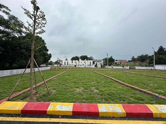 CHÍNH CHỦ BÁN LÔ A2 DỰ ÁN KHU 3219, KHOANG SAU – SƠN TÂY