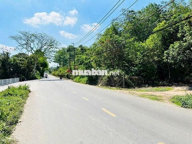CHÚ BA CÓ NHỜ GỬI BÁN LÔ ĐẤT 359M2/500TR 200M2 THỔ CƯ SHR MT ĐƯỜNG LỚN