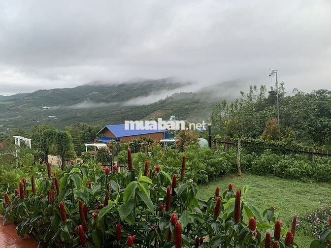 Booking Đợt 1 - Giá F0 - 1,95 tỷ/ Lô 1000m2 - Cách Cao Tốc 8p