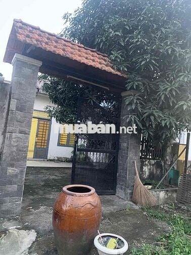 🏠 Nhà cấp 4 TX52 – 5.6x25m – hẻm xe hơi thông – SHR