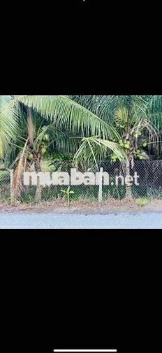 9 Chủ Cần BÁN ĐẤT Mặt Tiền Sổ 2 - 1500m 100thổ cư -20met mặt Tiề