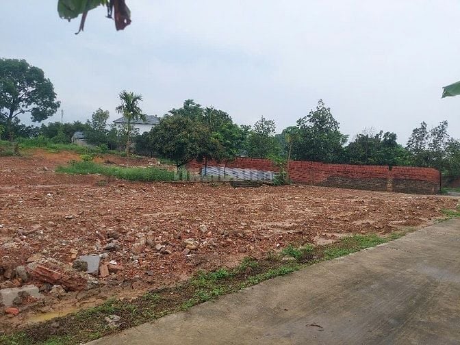 Đất 296m2 tại Hoàng Thanh, Hiệp Hòa, Bắc Giang