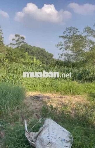 Bán 1500m2 Đất Mặt Tiền Kinh Doanh