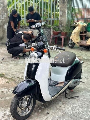 scoopy 50cc nội địa nhật