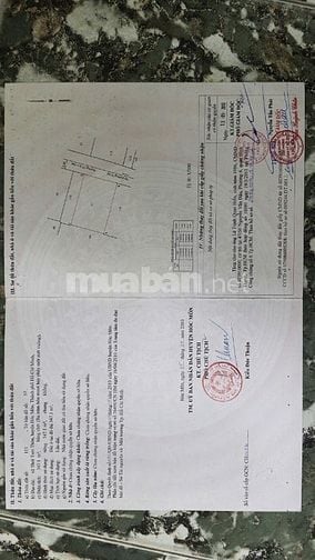 Đất thổ, đất vườn phù hợp xây dựng biệt thự tại trung tâm hóc môn