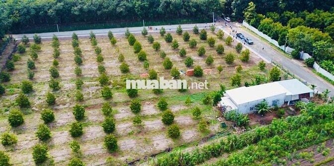 BÁN ĐẤT XÂY TRỌ GẦN KHU CÔNG NGHỆ CAO