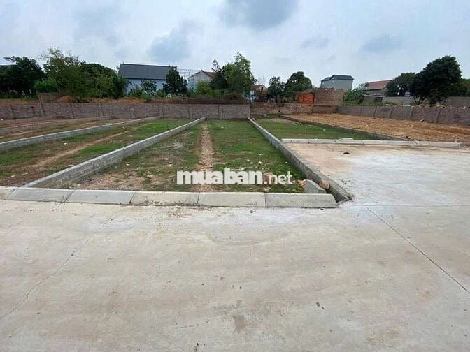 Bán Đất - Phú Thịnh (Minh Phú) - 114M2 Full Thổ Cư - 2,15Tỷ