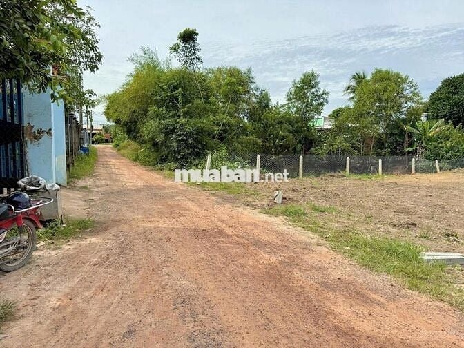 Chính chủ bánđất DT lớn,Hưng Thuận, Trảng Bàng,TN,full thổ cư,có bánlẻ