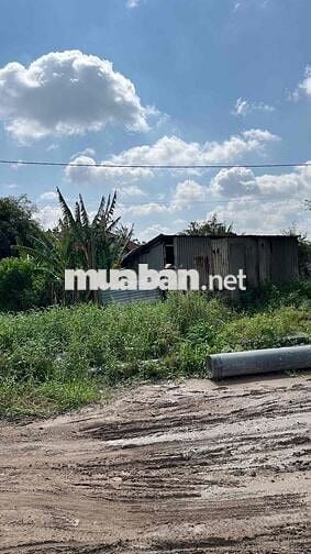 XE TĂNG NÉ MẶT TIỀN SÔNG VÀM THUẬT VƯỜN LÀI AN PHÚ ĐÔNG VỊ TRÍ CỰC KỲ