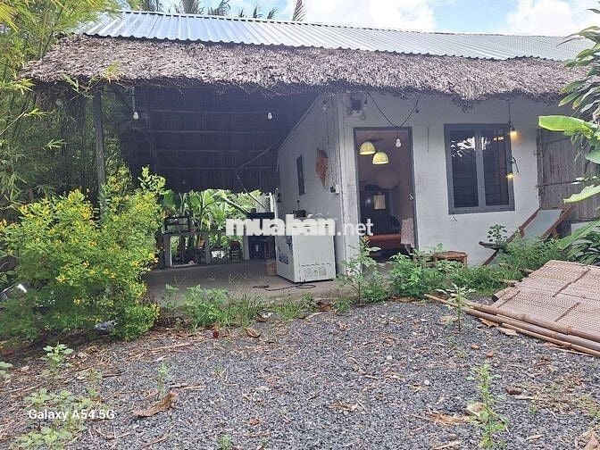Nhà vườn thiết kế kiểu homstay DTSD:160M² 1PN ĐĐTN BẾP 100% NHƯ HÌNH