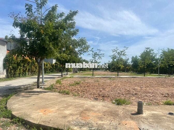 CÓ 1 MẢNH ĐẤT – ĐỂ KHÔNG CÒN PHẢI Ở TRỌ