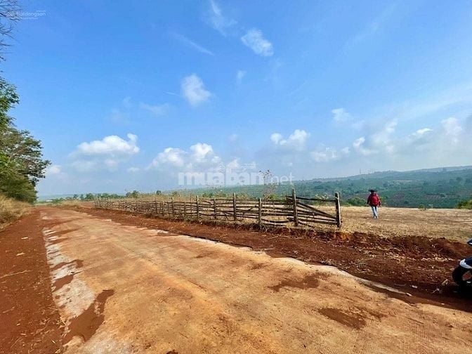 Chính chủ bán đất Iakenh SHR 7400m2