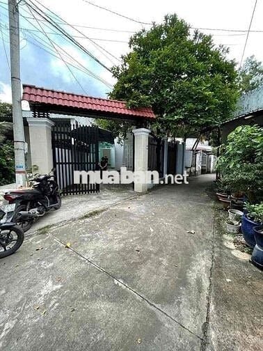 Nhà Vườn 8x20 Sổ Riêng Full Thổ Cư Cách Hương lộ 15 - 300m