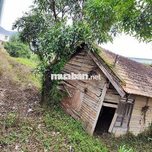 2 sào đất mặt tiền-trường thpt Lộc Thành, sổ đỏ, 14 tỷ