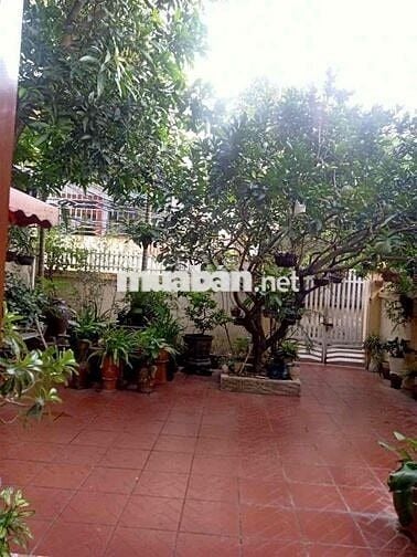 CHÍNH CHỦ CẦN BÁN NHÀ GẦN SÂN BAY CÁT BI DT180M HẺM XE HƠI,NHỈNH 8TỶ