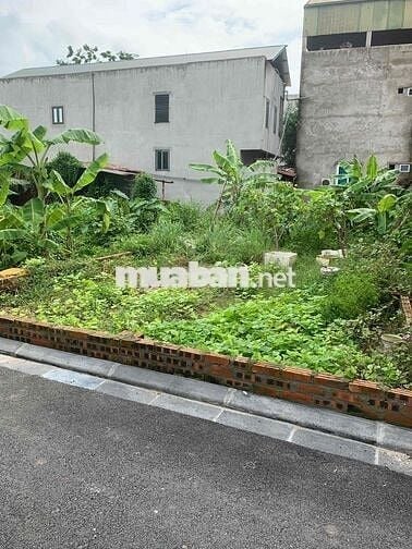 đất đẹp gần cầu nhật tân, công viên kim quy, tháp tài chính