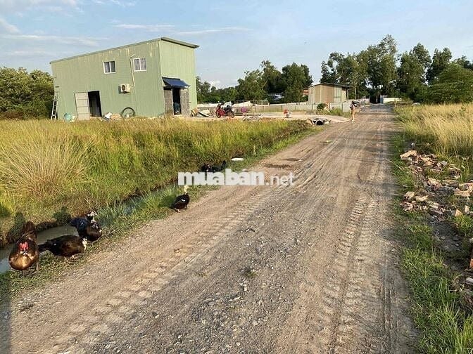Gia đình cần bán lô đất đsh ngang 5 dài 20 trong khu dân cư đông đúc