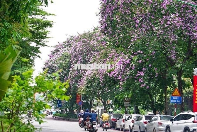 TÔI bán nhà Mặt phố đầu Xã Đàn 4T lô góc ô tô tránh vỉa hè KD NGÀY ĐÊM