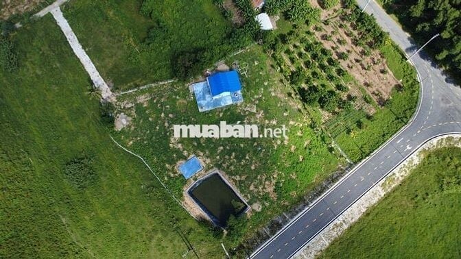 Đất nền 3500m2 tại 601, Hòa Bắc, Hòa Vang, Đà Nẵng, chỉ với 7,5 tỷ VND