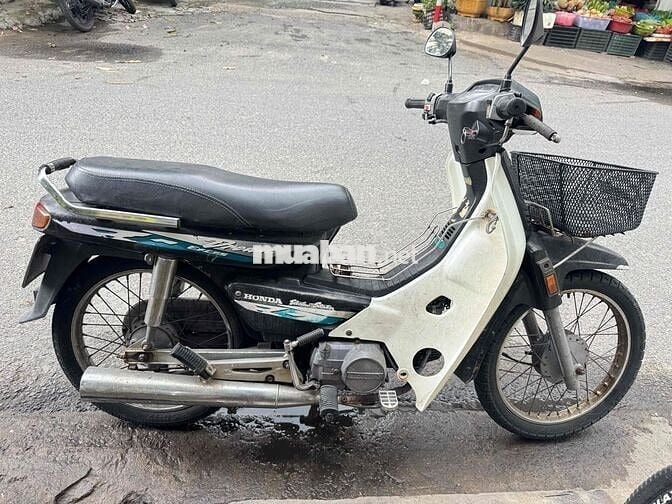 dream lùn nhập thái biển 43k1