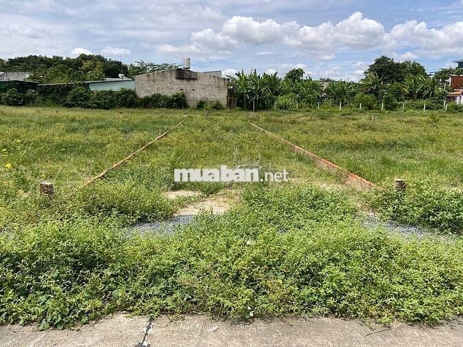Cần bán gấp lô đất 150m2 (5x30) 380tr tại Trảng Bàng Tây Ninh