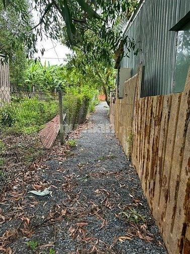 Bán ̃̃774 m2 đất trồng cây cây lâu năm