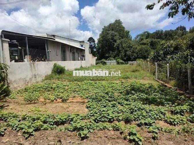 Cần bán gấp 286m2 giá 490tr sẵn thổ phía saucó hồ thoải mái nghỉ dưỡng